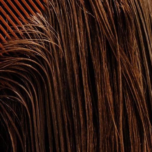 Color Glow Club at Maria Moves My Hair in West Palm Beach, FL